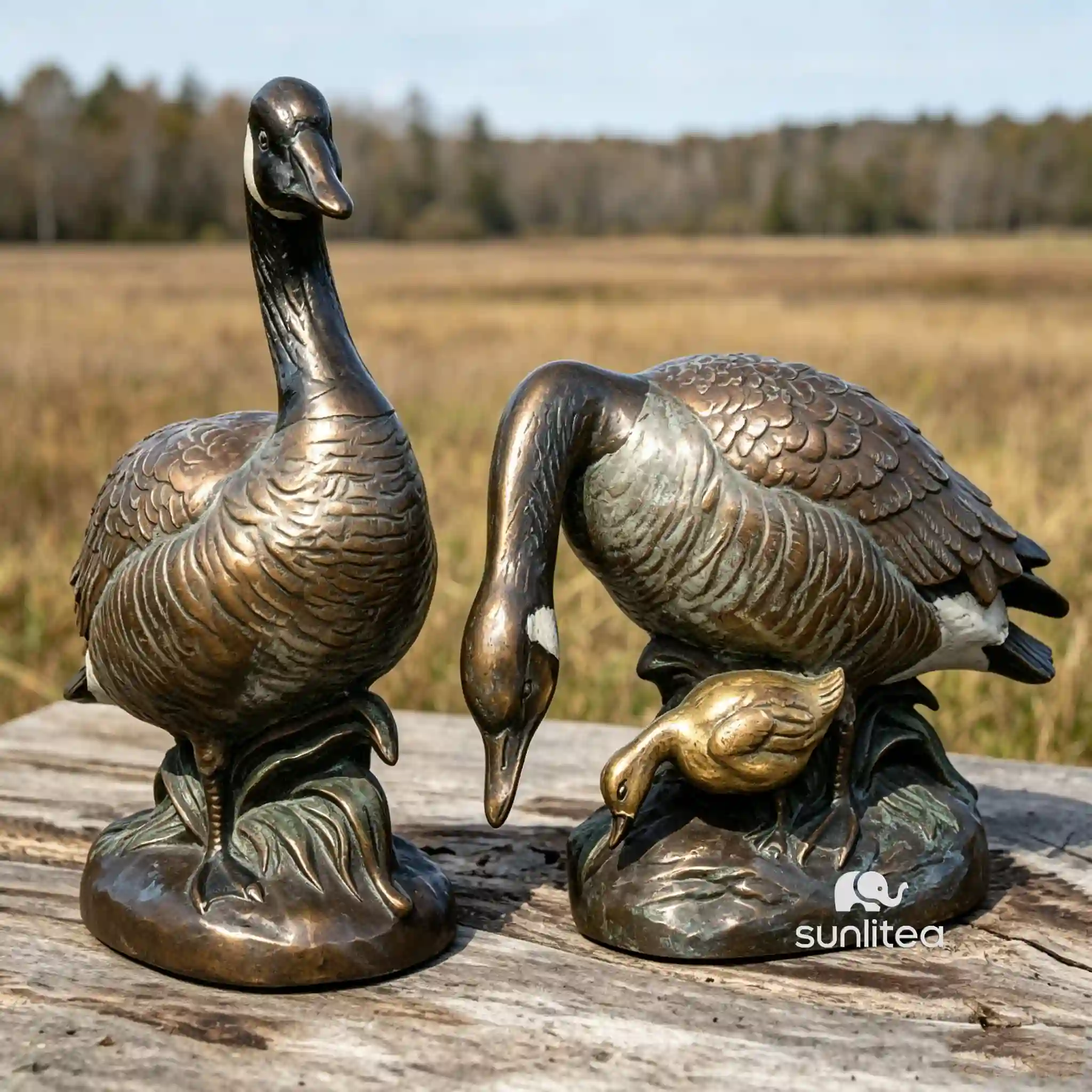 Grey Goose Statue