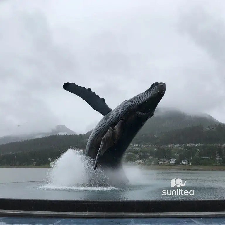 Humpback Whale Sculpture
