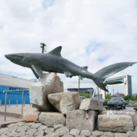 White Shark Statue