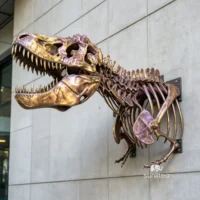 Restaurant Decoration Wall Mounted T-rex Skull Sculpture